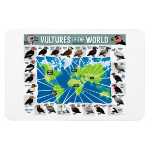 Gam av världskartan magnet