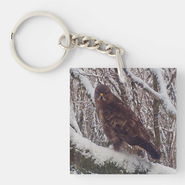 Gam på snötäckt gren Vintervila vilda djur (Framsidan)