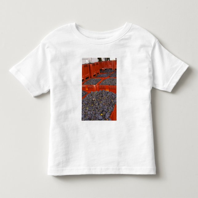 Gamay-druvor från skörden vid tee shirt (Framsida)