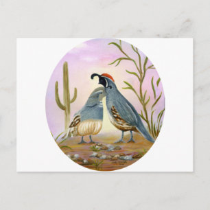 Gambel Quails Vykort