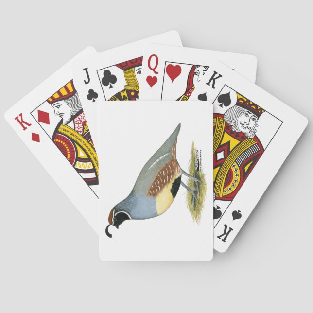 Gambels ökenvaktel spel kort (Baksidan)