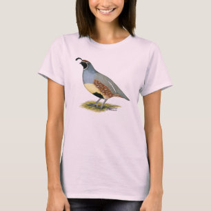 Gambels ökenvaktel tee