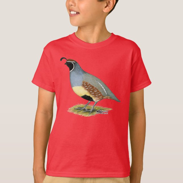 Gambels ökenvaktel tee shirt (Framsida)