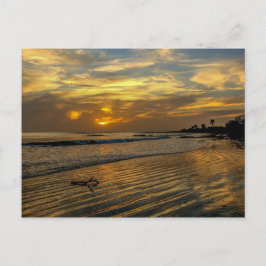 Gambia Sunset-vykort Vykort