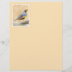 Gambrel's Quail Painting Original Bird Art