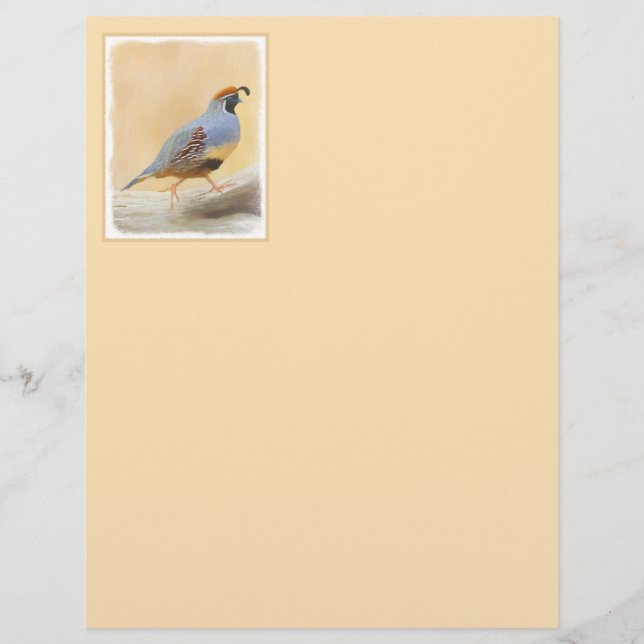 Gambrel's Quail Painting Original Bird Art (Framsida)
