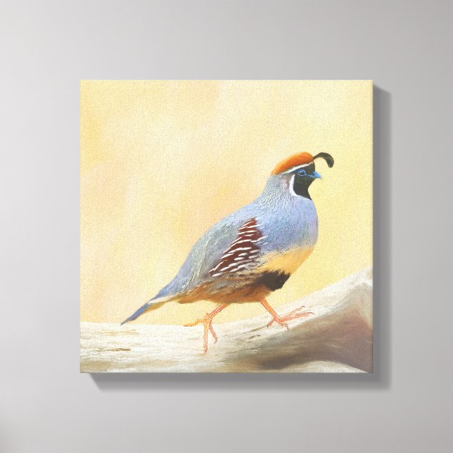 Gambrel's Quail Painting Original Bird Art Canvastryck (Framsida)