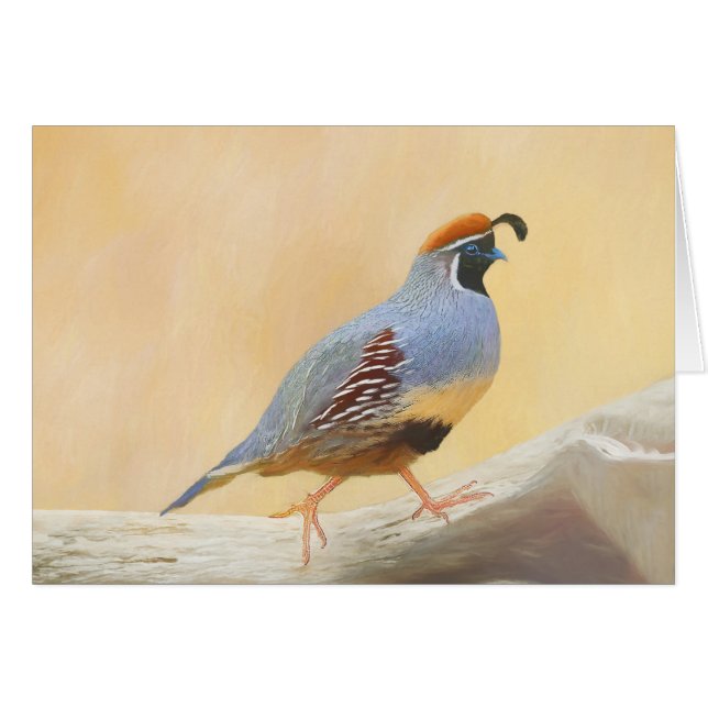 Gambrel's Quail Painting Original Bird Art Hälsningskort (Framsidan Horizontal)