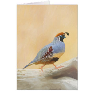 Gambrel's Quail Painting Original Bird Art Hälsningskort