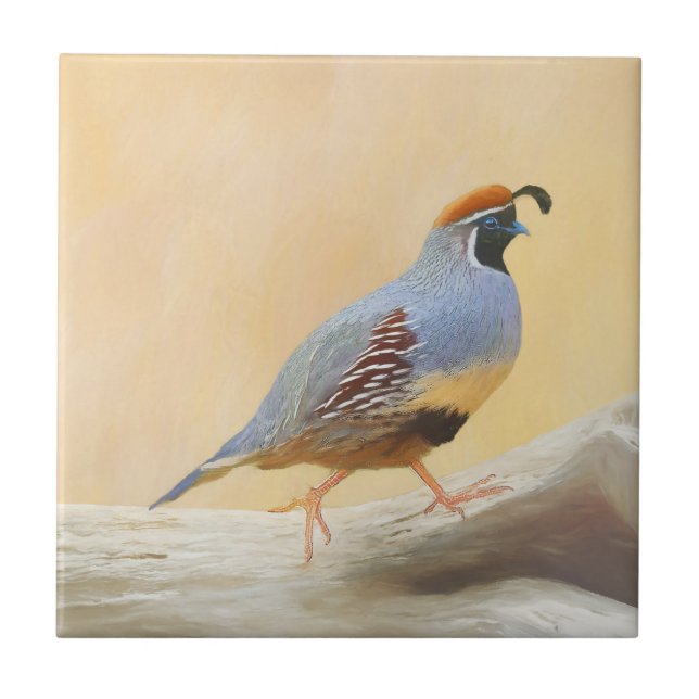Gambrel's Quail Painting Original Bird Art Kakelplatta (Framsidan)