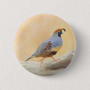 Gambrel's Quail Painting Original Bird Art Knapp