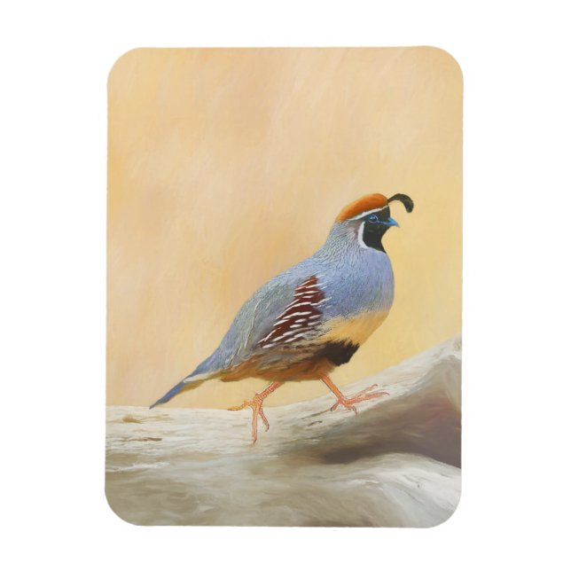 Gambrel's Quail Painting Original Bird Art Magnet (Vertikal)