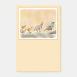 Gambrel's Quail Painting Original Bird Art Post-it Block