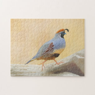 Gambrel's Quail Painting Original Bird Art Pussel