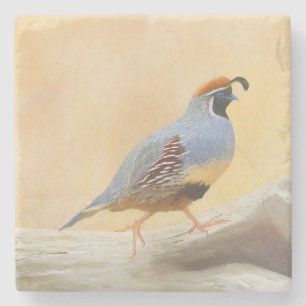 Gambrel's Quail Painting Original Bird Art Stenunderlägg