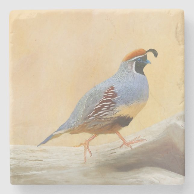 Gambrel's Quail Painting Original Bird Art Stenunderlägg (Framsidan)