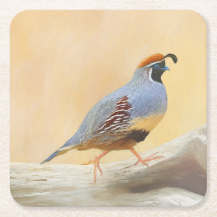 Gambrel's Quail Painting Original Bird Art Underlägg Papper Kvadrat