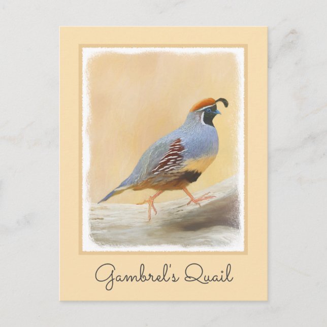 Gambrel's Quail Painting Original Bird Art Vykort (Framsida)