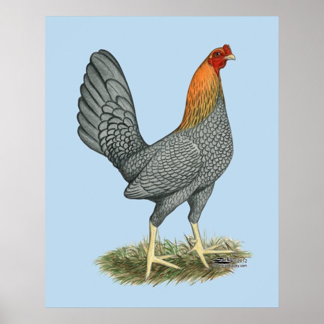 Game Hen Blue Red Poster (Framsidan)