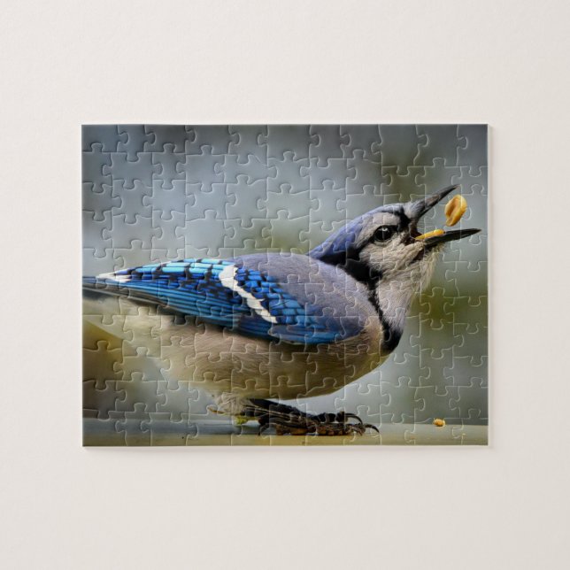 Game Puzzle Blue Jay Pussel (Horisontell)