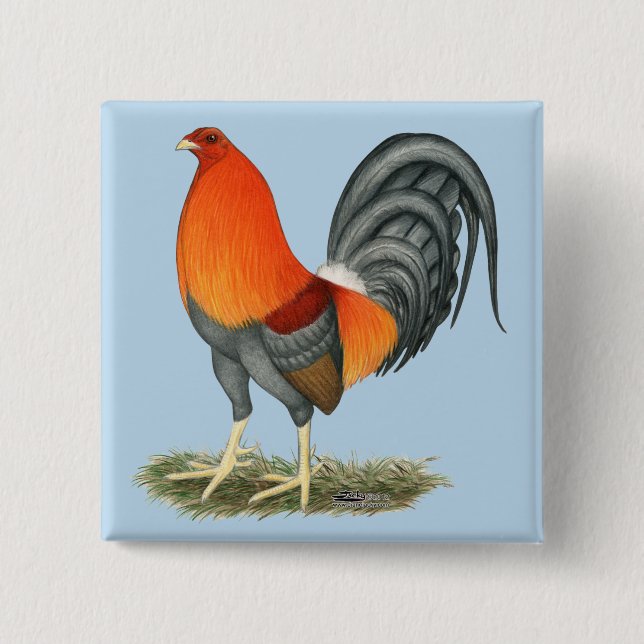 Gamecock Blå Röd Tupp Knapp (Framsida)