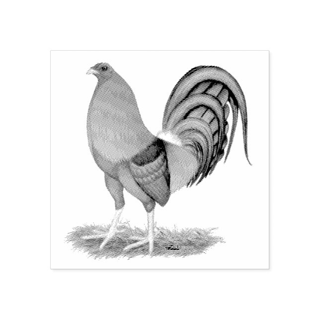 Gamecock Blå Röd Tupp Stämpel (Tryck)