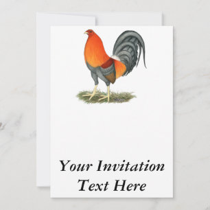 Gamecock Blue Red Inbjudningar