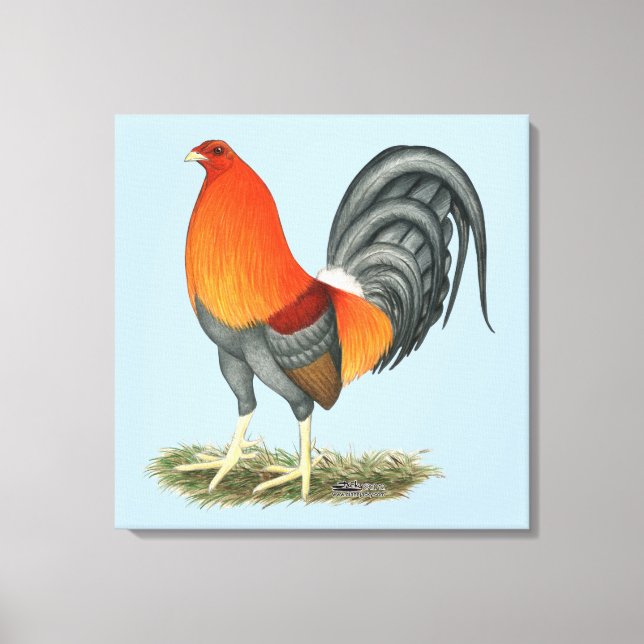 Gamecock Blue Red Tupp Canvastryck (Framsida)