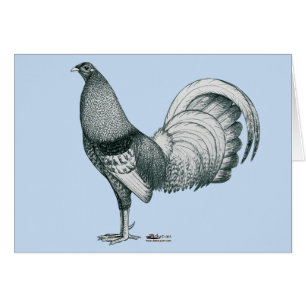 Gamecock Crele eller Dom OBS Kort