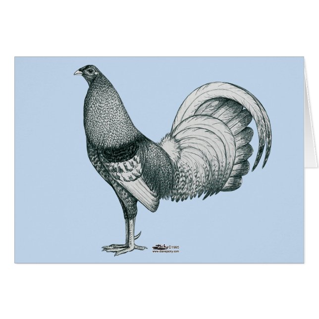 Gamecock Crele eller Dom OBS Kort (Framsidan Horizontal)