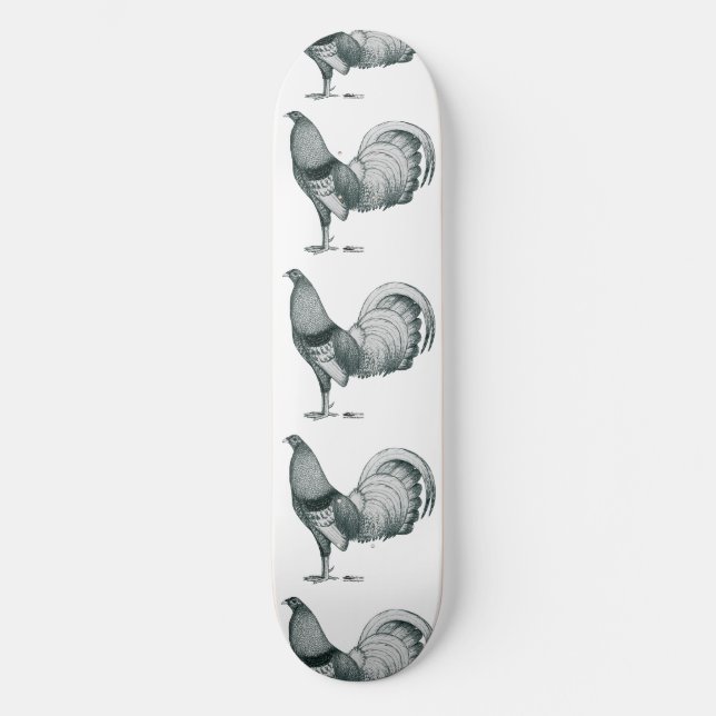 Gamecock Crele eller Dom Skateboard Bräda 20,5 Cm (Framsida)