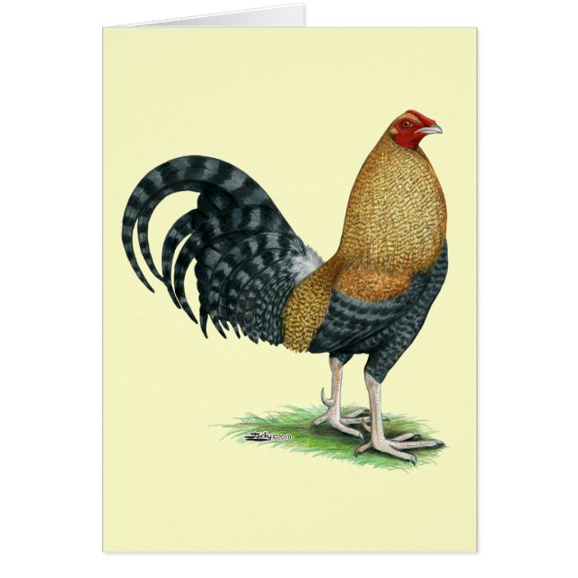 Gamecock: Dom eller Crele OBS Kort (Framsidan)