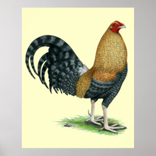 Gamecock: Dom eller Crele Poster