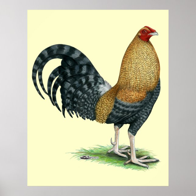 Gamecock: Dom eller Crele Poster (Framsidan)