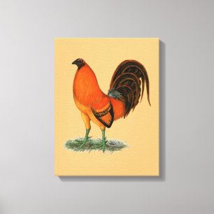 Gamecock Ginger Red Tupp Canvastryck