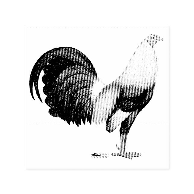 Gamecock Grå Duckwing Självfärgande Stämpel (Design)
