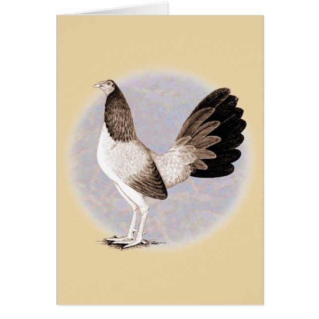 Gamecock: Hennie OBS Kort (Framsidan)