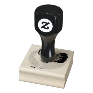 Gamecock: Hennie Stämpel