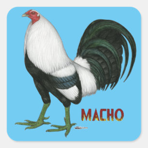 Gamecock Macho Duckwing Fyrkantigt Klistermärke