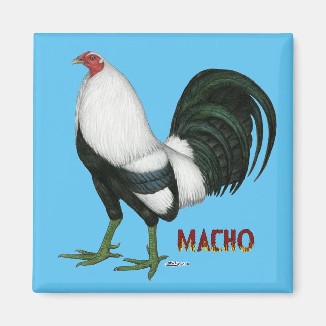 Gamecock Macho Duckwing Magnet (Framsidan)