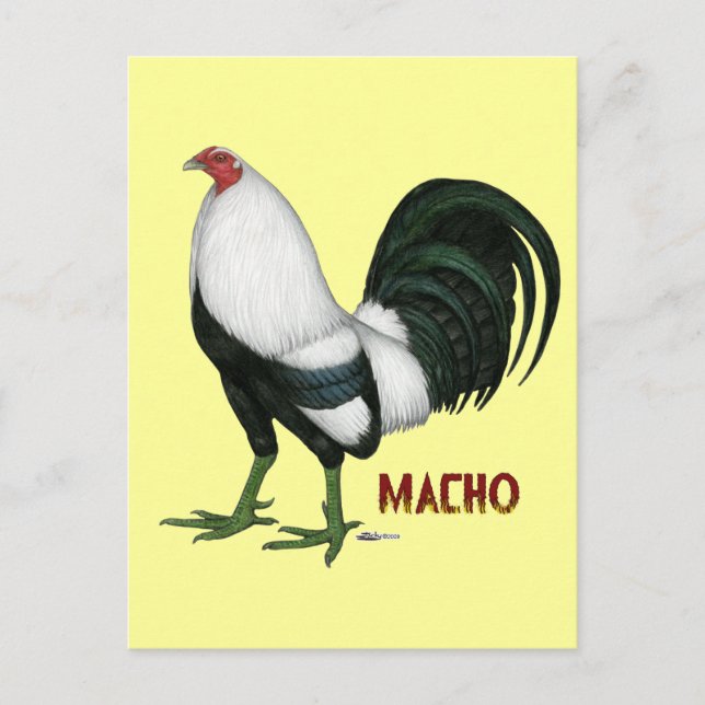 Gamecock Macho Duckwing Vykort (Framsida)