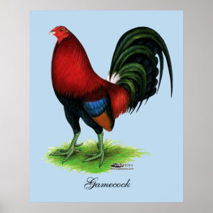 Gamecock: Mörk Red Poster
