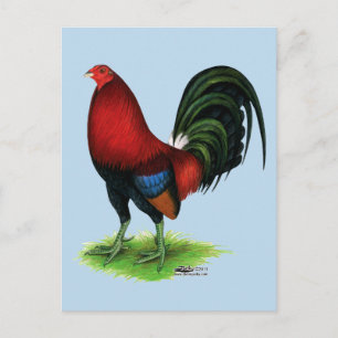 Gamecock: Mörk Red Vykort