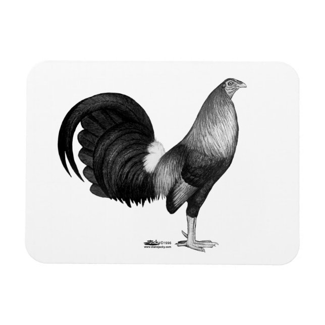 Gamecock Red Hatch Magnet (Horisontell)