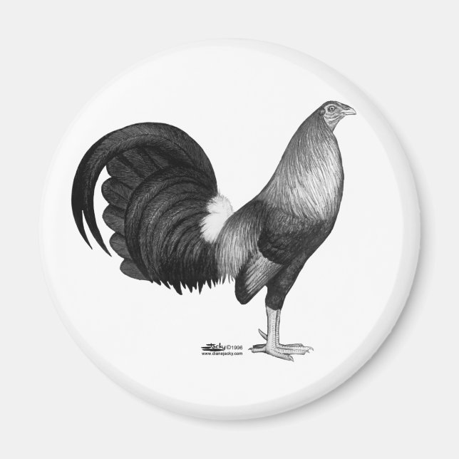 Gamecock Red Hatch Magnet (Framsidan)