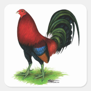 Gamecock: Röd mörk - Fyrkantigt Klistermärke