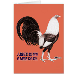 Gamecock Sepia OBS Kort