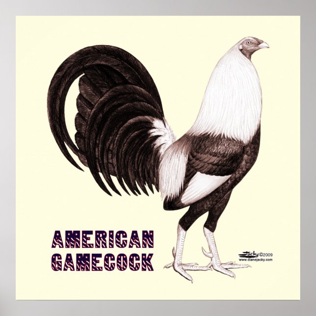 Gamecock Sepia Poster (Framsidan)