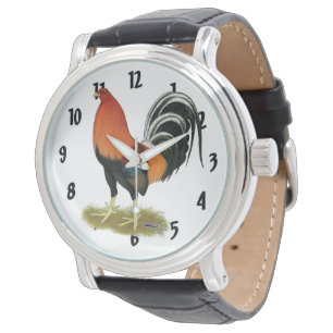 Gamecock Wheaten Tupp Armbandsur