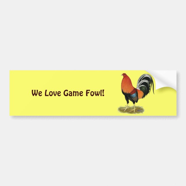 Gamecock Wheaten Tupp Bildekal (Framsidan)